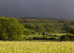 Wildflower meadow scene featuring an old barn, Muker Yorkshire Dales Photo Walk