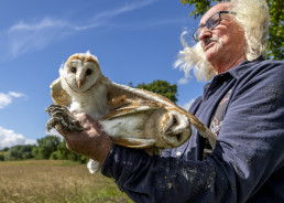 Barn Owl chick ringing, Sun Lane, Burley in Wharfedale